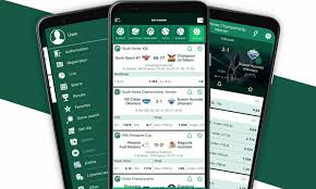 Discover BetWinner Your Ultimate Betting Platform