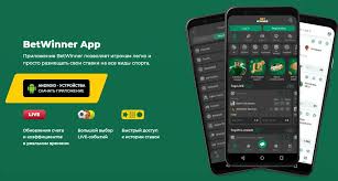 Exploring the BetWinner Platform Your Gateway to Online Betting